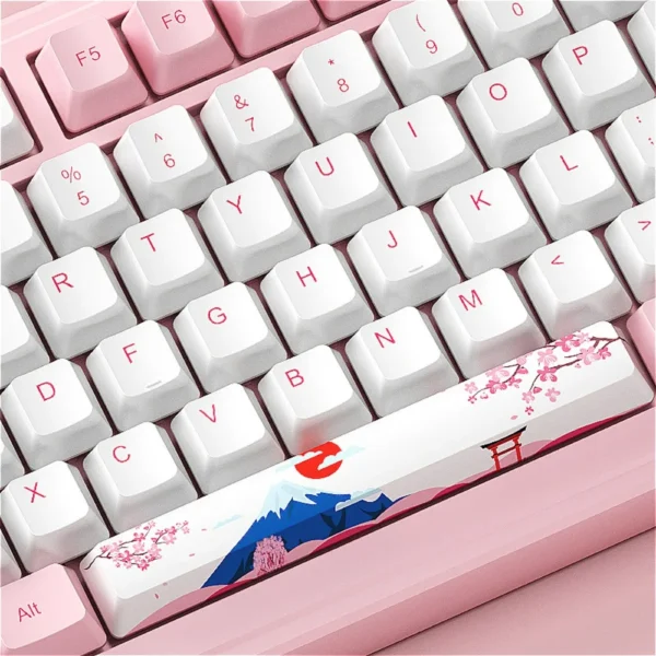 Cherry Blossom Pink Mechanical Keyboard Keycaps - Image 4